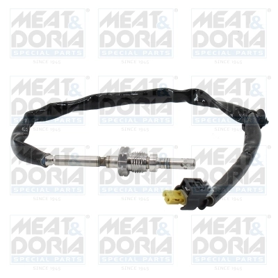 Sensor, exhaust gas temperature